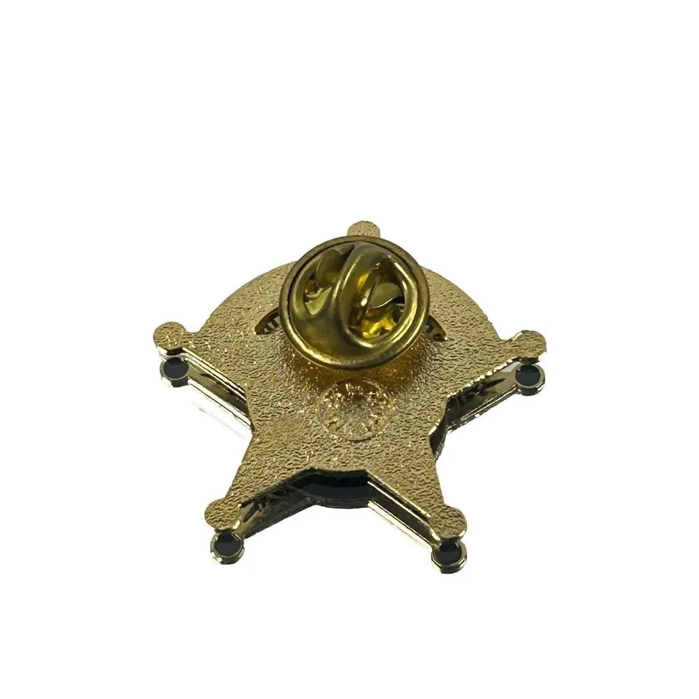Lake County Sheriff Dominguez Pin‎